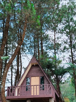 Bukit Pinus Paseban Camp